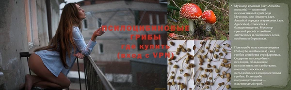винт Алзамай